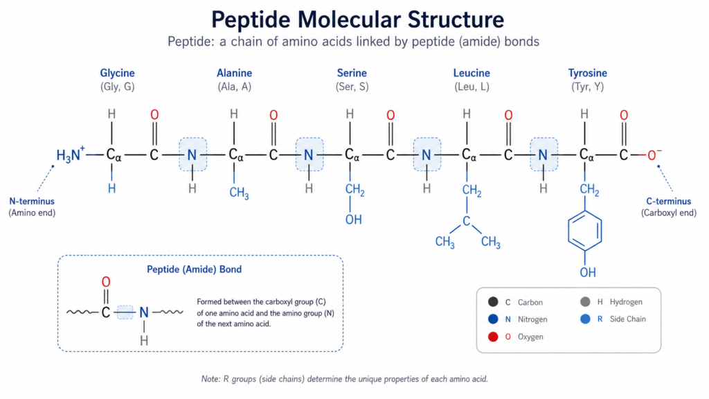what do copper peptides do for your skin